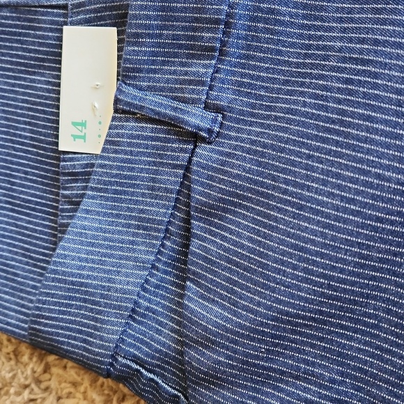 NWT Old Navy Mid-rise Blue With White Stripes Pants Size 14 - Picture 9 of 11